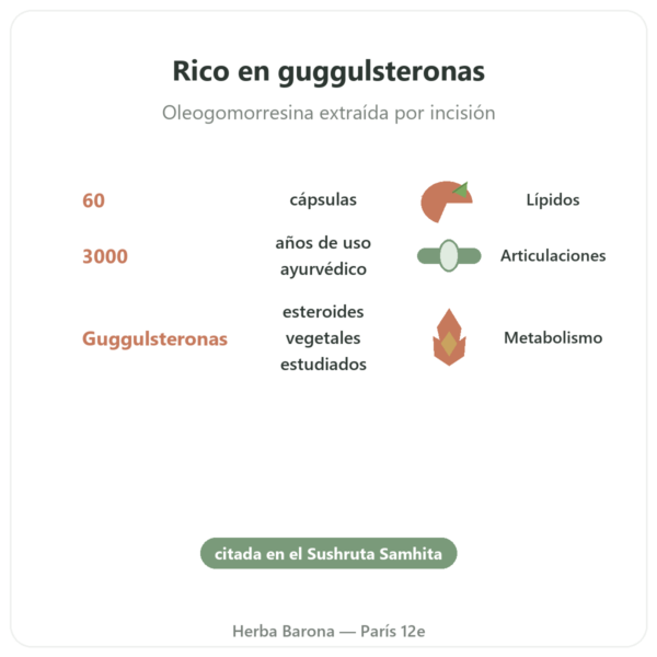 Guggul – Ayur-vana – 60 Cápsulas beneficios y datos clave Paris Herba Barona