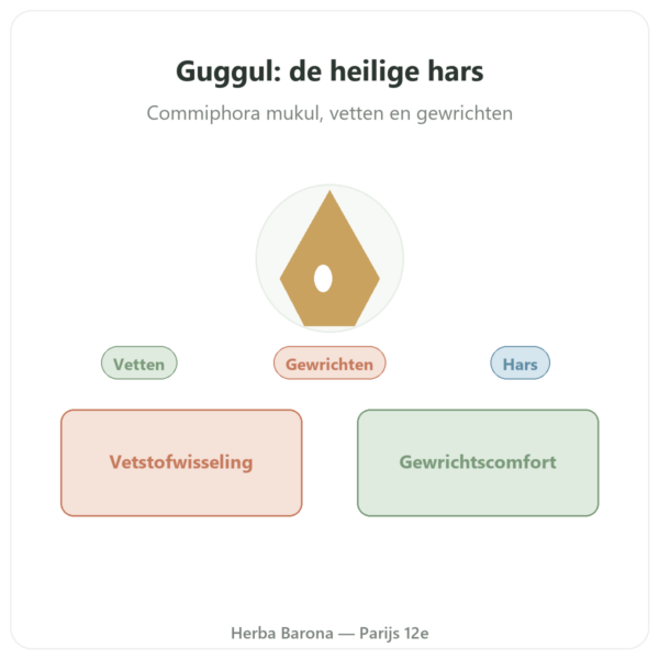 Guggul – Ayur-vana – 60 capsules presentatie Paris Herba Barona