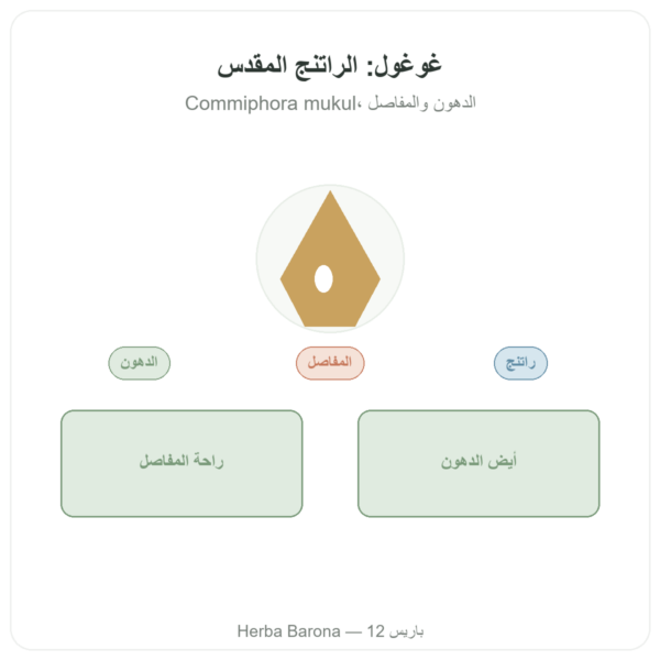 غوغول – Ayur-vana – 60 كبسولة عرض المنتج Paris Herba Barona