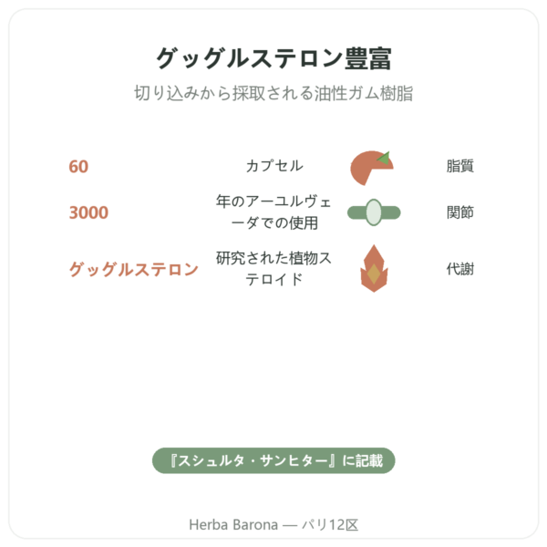 グッグル – Ayur-vana – 60カプセル benefits and key facts Paris Herba Barona