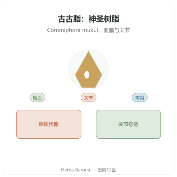 Guggul（印度没药）– Ayur-vana – 60 粒胶囊 产品展示 Paris Herba Barona
