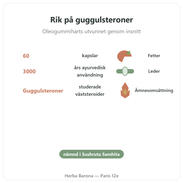 Guggul – Ayur-vana – 60 kapslar fördelar och nyckelfakta Paris Herba Barona