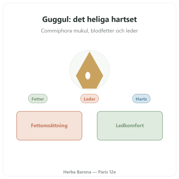 Guggul – Ayur-vana – 60 kapslar presentation Paris Herba Barona