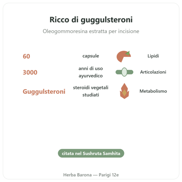 Guggul – Ayur-vana – 60 capsule benefici e dati chiave Paris Herba Barona