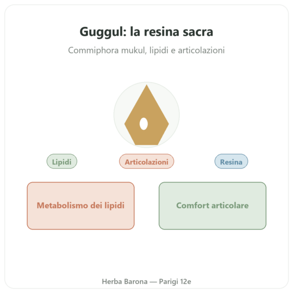 Guggul – Ayur-vana – 60 capsule presentazione Paris Herba Barona