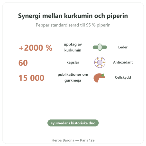Gurkmeja Peppar – Ayur-vana – 60 kapslar fördelar och nyckelfakta Paris Herba Barona