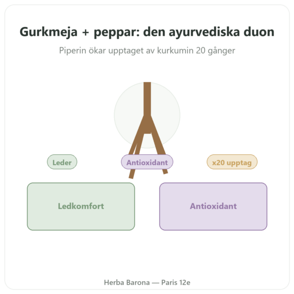 Gurkmeja Peppar – Ayur-vana – 60 kapslar presentation Paris Herba Barona