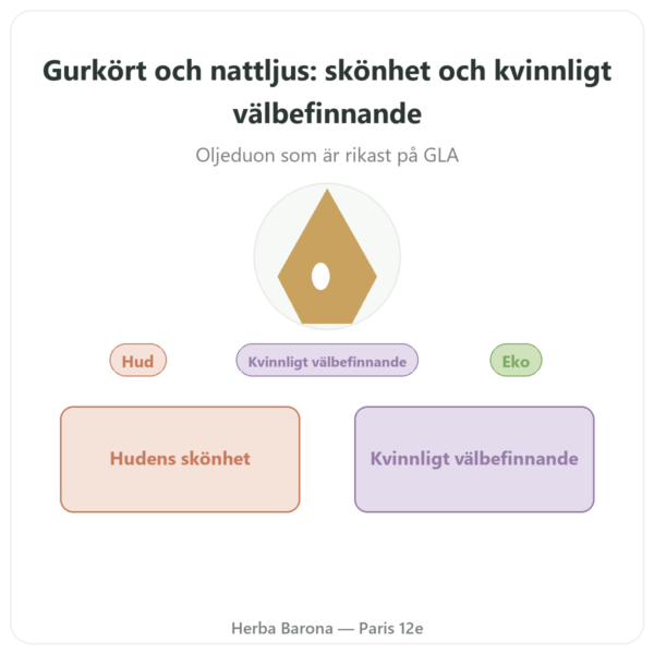 Gurkört Nattljusolja BIO – 90 kapslar – Vecteur Santé presentation Paris Herba Barona