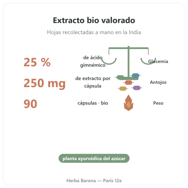 Gymnema Sylvestre BIO Dynveo 90 cápsulas 250 mg Ácido Gimnémico 25% beneficios y datos clave Paris Herba Barona