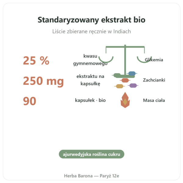 Gymnema Sylvestris BIO Dynveo 90 Kaps. 250 mg Kwas Gymnemowy 25% korzyści i najważniejsze fakty Paris Herba Barona