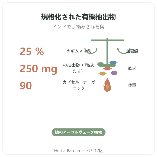 Gymnema Sylvestris BIO Dynveo 90カプセル 250 mg ギムネマ酸25% benefits and key facts Paris Herba Barona