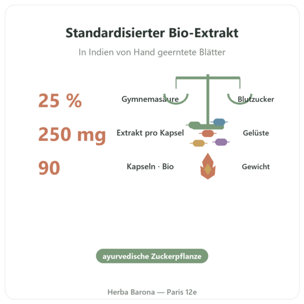 Gymnema Sylvestris Bio 25 % Gymnemasäure – Dynveo – 90 Kapseln Vorteile und Fakten Paris Herba Barona