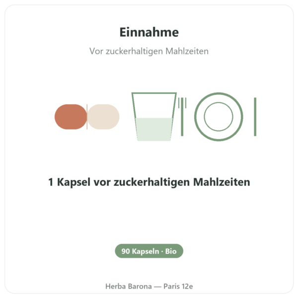 Gymnema Sylvestris Bio 25 % Gymnemasäure – Dynveo – 90 Kapseln Anwendung und Dosierung Paris Herba Barona