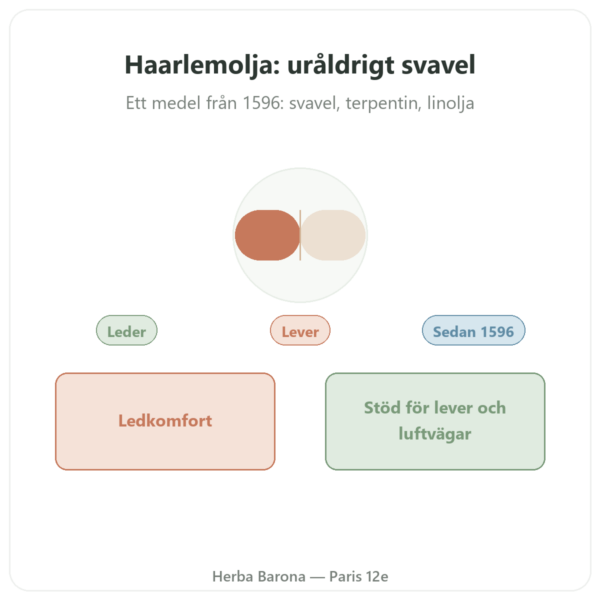 Haarlemolja Original – Be-Life – 60 Kapslar presentation Paris Herba Barona
