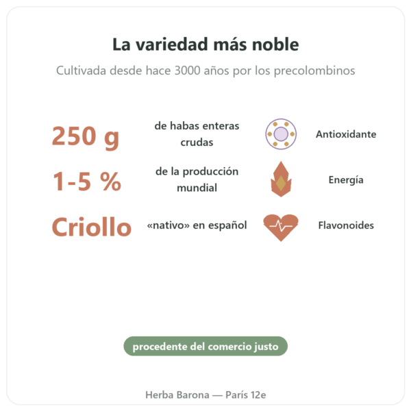 Habas de Cacao Crudas Bio Variedad Criollo – 250 g – Saldac beneficios y datos clave Paris Herba Barona
