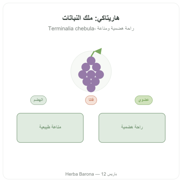 هاريتاكي العضوي - كيس مسحوق - 150 غ - Ayur-vana عرض المنتج Paris Herba Barona