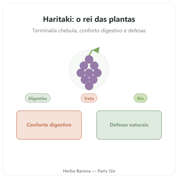 Haritaki bio - Saco de pó - 150 g - Ayur-vana apresentação Paris Herba Barona