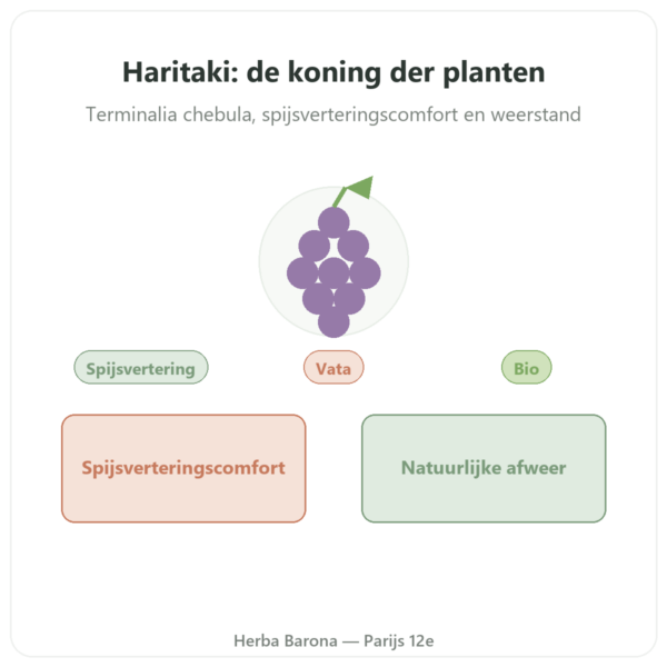 Haritaki bio - Zakje poeder - 150 g - Ayur-vana presentatie Paris Herba Barona