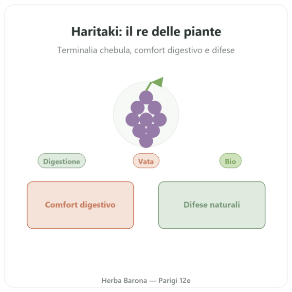 Haritaki Bio in Polvere – Ayur-vana – 150 g presentazione Paris Herba Barona