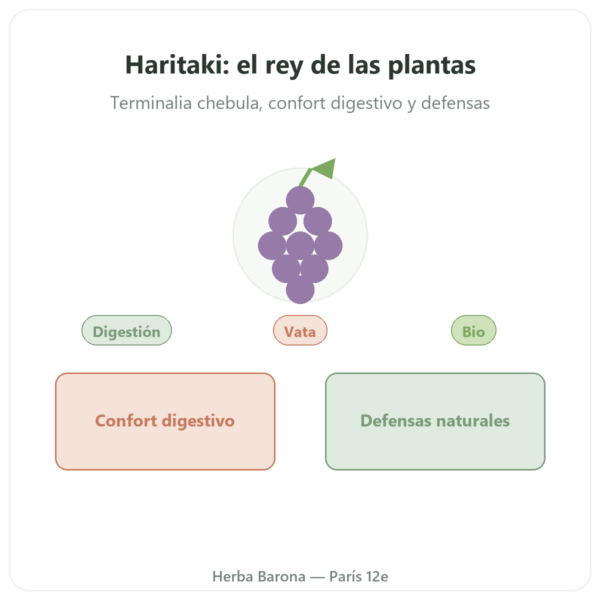 Haritaki Bio – Sachet de Polvo – 150 g – Ayur-vana presentación Paris Herba Barona