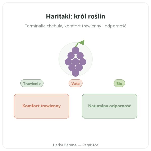 Haritaki bio - Saszetka z proszkiem - 150 g - Ayur-vana prezentacja Paris Herba Barona