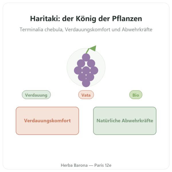 Haritaki Bio Pulver – 150 g – Ayur-vana Vorstellung Paris Herba Barona