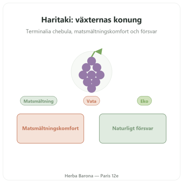 Haritaki ekologisk - Pulverpåse - 150 g - Ayur-vana presentation Paris Herba Barona