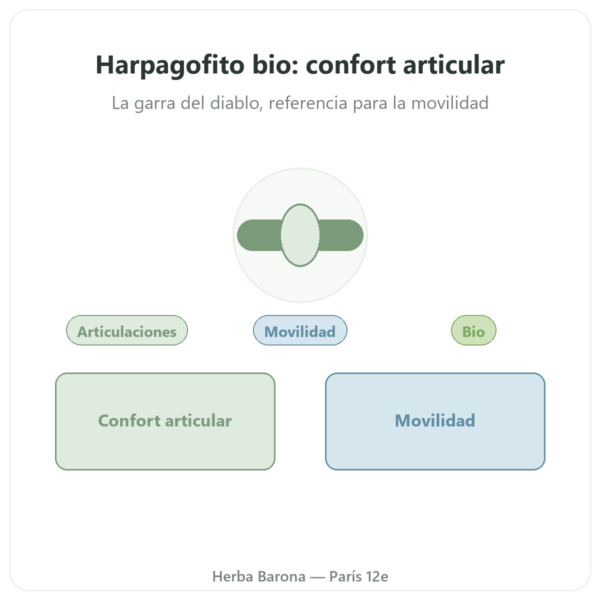 Harpagofito BIO – 60 cápsulas – Dynveo ultra dosificado presentación Paris Herba Barona