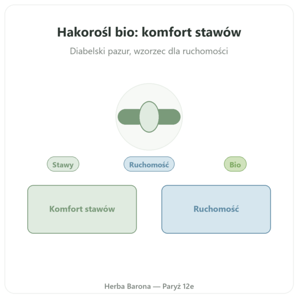 Harpagofitum Bio – 60 kaps. – DYNVEO wysoka dawka prezentacja Paris Herba Barona