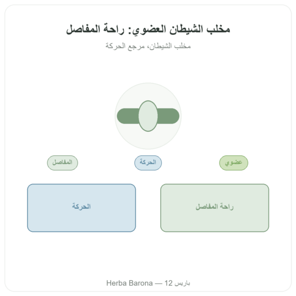 هارباغوفيتوم عضوي – 60 كبسولة – Dynveo تركيز فائق عرض المنتج Paris Herba Barona