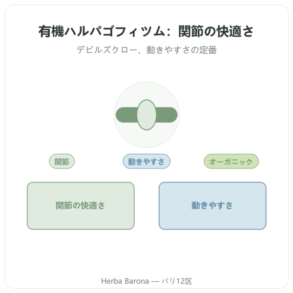 有機ハルパゴフィツム – 60カプセル – DYNVEO 高配合 presentation Paris Herba Barona