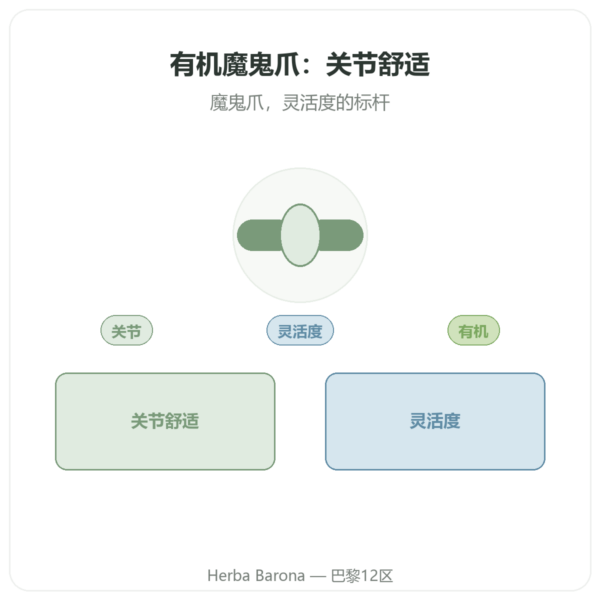 有机爪钩草（魔鬼爪） – 60 粒 – DYNVEO 高含量 产品展示 Paris Herba Barona