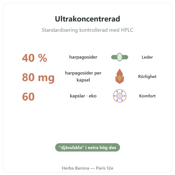 HARPAGOPHYTUM Eko – 60 kapslar – DYNVEO ultrahögdoserad fördelar och nyckelfakta Paris Herba Barona
