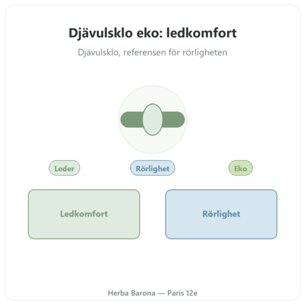 HARPAGOPHYTUM Eko – 60 kapslar – DYNVEO ultrahögdoserad presentation Paris Herba Barona