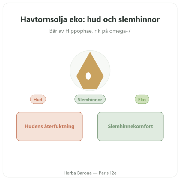 Ekologisk Havtornsolja – Flaska 100 ml – Hud- & Slemhinnefuktighet Omega 7 – Biokhaan presentation Paris Herba Barona