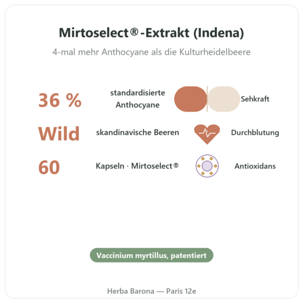 Wilde Heidelbeere Mirtoselect® – Dynveo – 60 Kapseln Vorteile und Fakten Paris Herba Barona