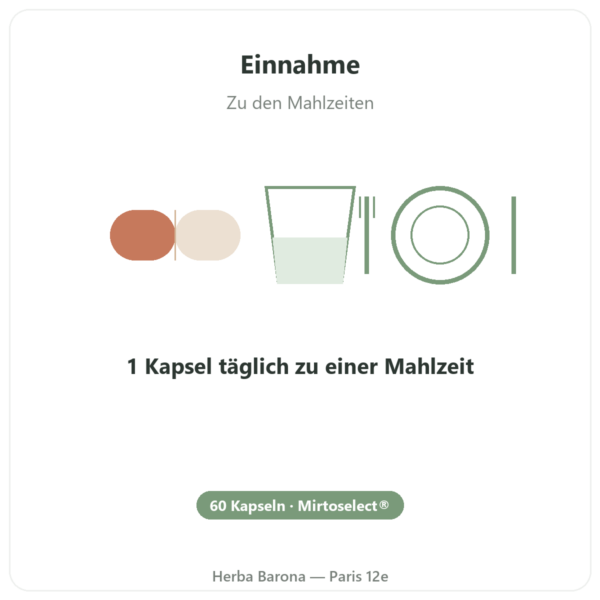 Wilde Heidelbeere Mirtoselect® – Dynveo – 60 Kapseln Anwendung und Dosierung Paris Herba Barona