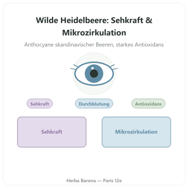 Wilde Heidelbeere Mirtoselect® – Dynveo – 60 Kapseln Vorstellung Paris Herba Barona
