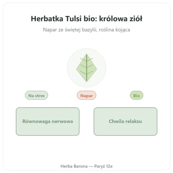 Herbatka Tulsi Bio 25 saszetek Ayur-vana prezentacja Paris Herba Barona