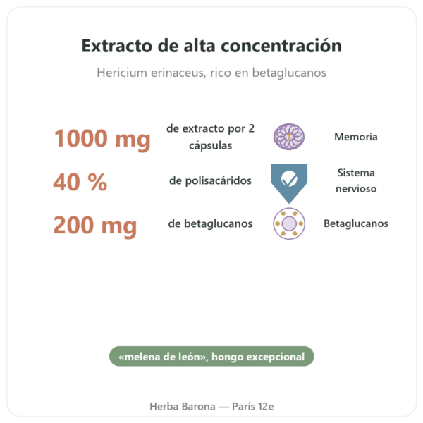 Hericium Bio 500 mg – Extracto de Alta Concentración – 60 Cápsulas beneficios y datos clave Paris Herba Barona