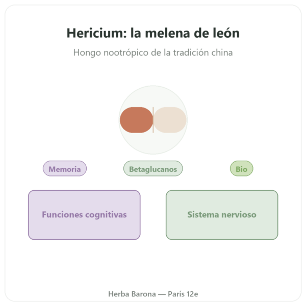 Hericium Bio 500 mg – Extracto de Alta Concentración – 60 Cápsulas presentación Paris Herba Barona
