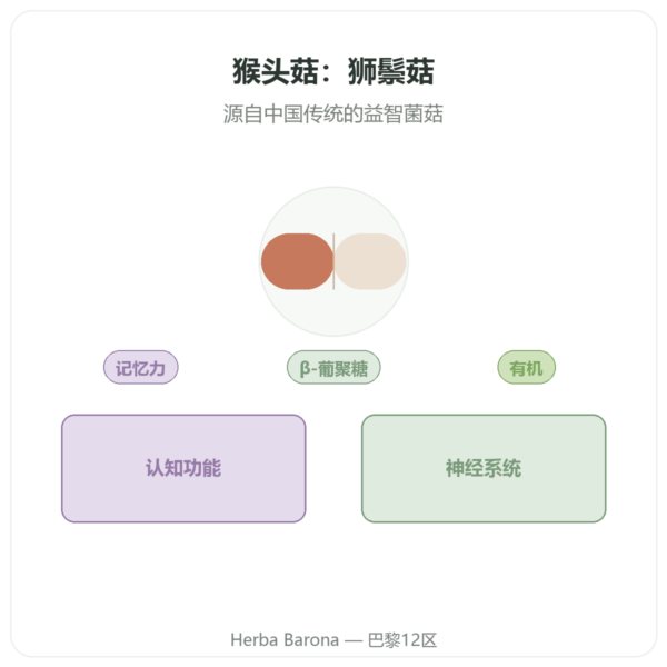 有机猴头菇 500mg 高浓缩提取物 – 60 粒胶囊 产品展示 Paris Herba Barona