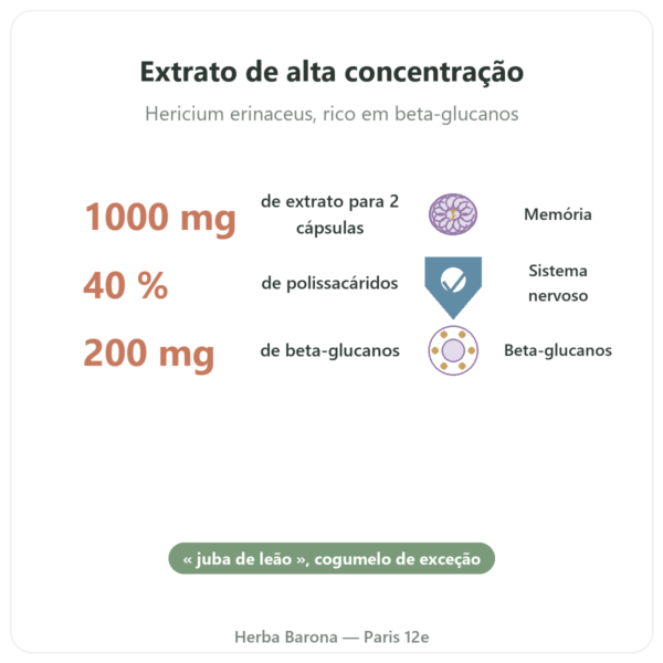 Hericium Bio 500mg Extrato Alta Concentração – 60 Cápsulas benefícios e dados principais Paris Herba Barona