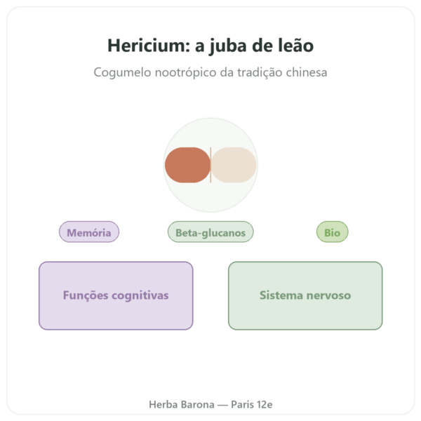 Hericium Bio 500mg Extrato Alta Concentração – 60 Cápsulas apresentação Paris Herba Barona