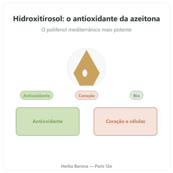 Hidroxitirosol extrato de azeitona BIO Dynveo 60 cápsulas apresentação Paris Herba Barona