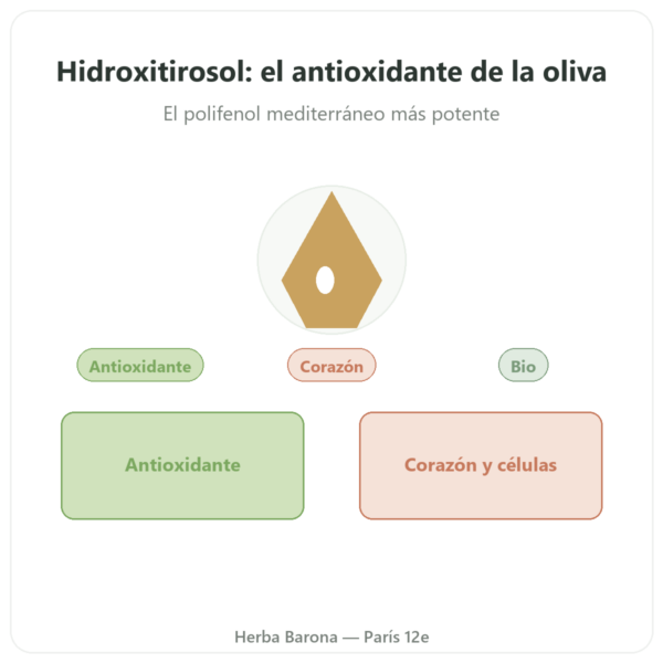 Hidroxitirosol extracto de oliva BIO Dynveo – 60 cápsulas presentación Paris Herba Barona
