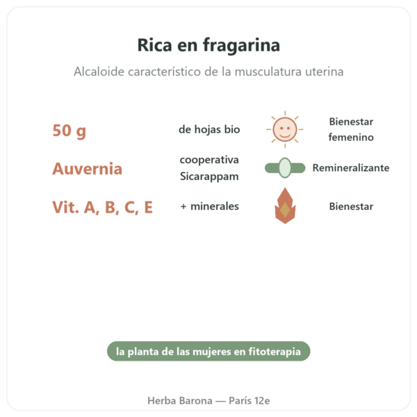 Hojas de Frambueso Bio – Les Jardins de Gaïa – 50 g beneficios y datos clave Paris Herba Barona