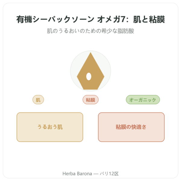 シーバックソーン オイル オメガ7 – Dynveo – 60カプセル presentation Paris Herba Barona