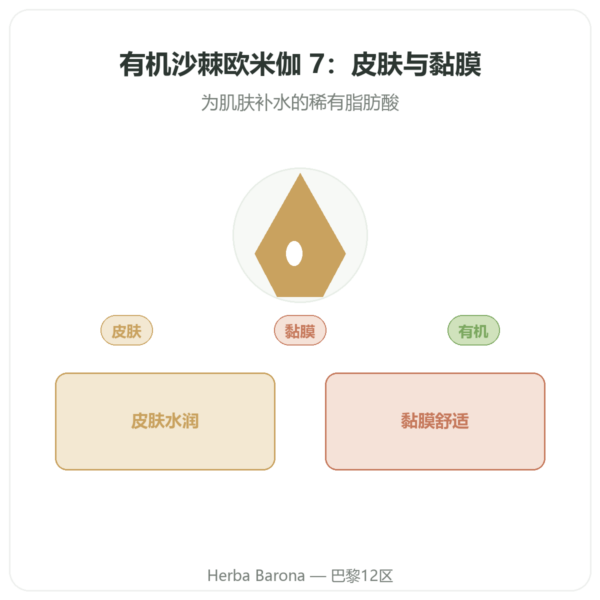 沙棘油 Omega-7 – Dynveo – 60 粒胶囊 产品展示 Paris Herba Barona