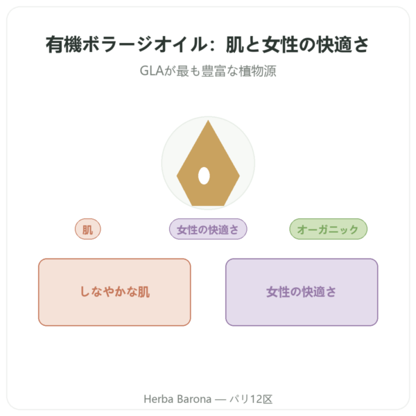 有機ボラージオイル – Dynveo – 500 mg – 60カプセル presentation Paris Herba Barona
